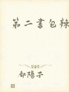 第二书包辣文