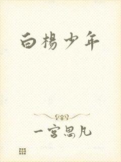白杨少年