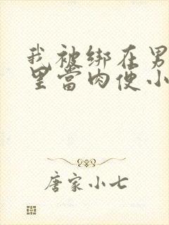 我被绑在男公厕里当肉便小说
