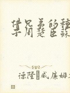 借兄弟的种生孩子周楚臣苏糖
