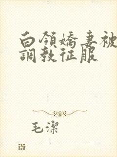 白领娇妻被老板调教征服封面