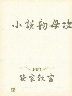 小说韵母攻略