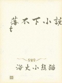 落不下小说txt