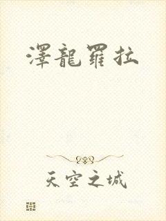 泽龙罗拉封面