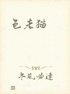 色老猫封面