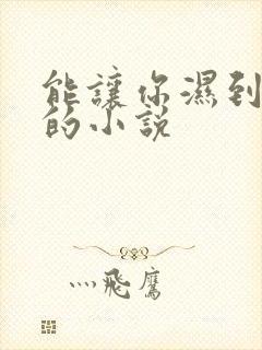 能让你湿到不行的小说