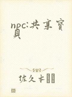 npc:共享宝贝