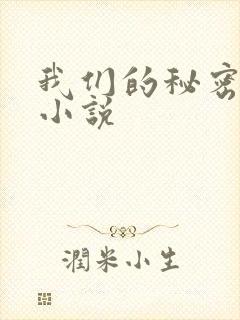 我们的秘密泰剧小说