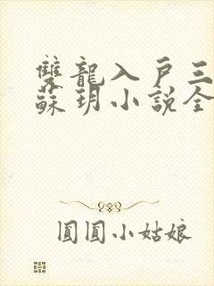 双龙入户三人行苏玥小说全文阅读
