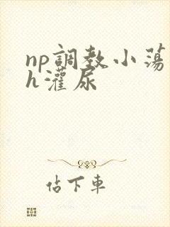 np调教小荡货h灌尿