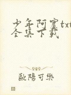 少年阿宾txt全集下载