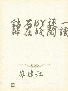 钻石BY逐一而归在线阅读