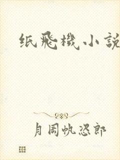 纸飞机小说