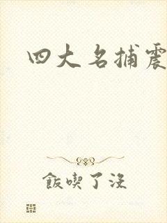 四大名捕震关东