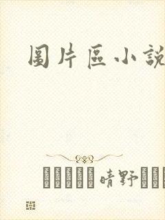 图片区小说区封面