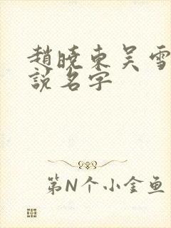 赵晓东吴雪晴小说名字