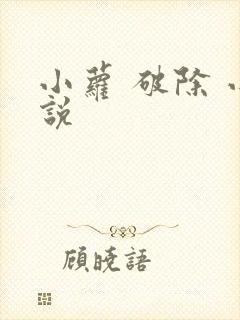小萝 破除 小说封面
