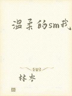 温柔的sm我封面