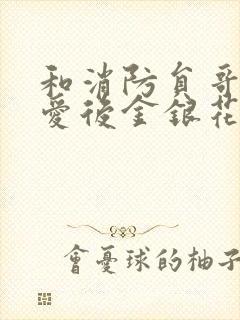 和消防员哥哥恋爱后金银花趣笔阁