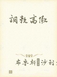 调教高傲