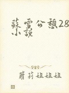 苏雪公憩28篇小说