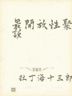 最开放性聚会小说