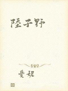 陆子野