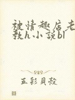 被情趣店老板调教h小说bl封面