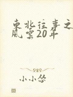 东北往事之黑道风云20年封面