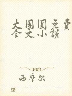 大团圆免费阅读全文小说