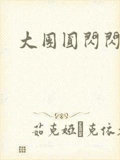 大团圆闪闪发光封面