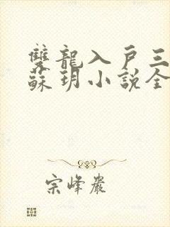 双龙入户三人行苏玥小说全文阅读封面