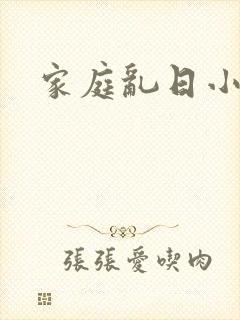 家庭乱日小说封面