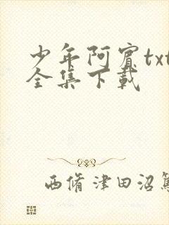 少年阿宾txt全集下载
