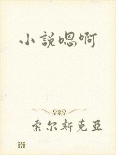 小说嗯啊封面