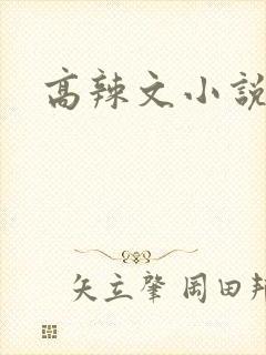 高辣文小说