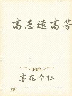 高志远高芳