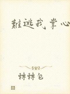 难逃我掌心封面
