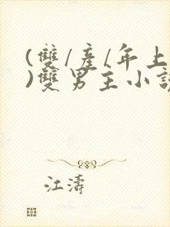 (双/产/年上)双男主小说