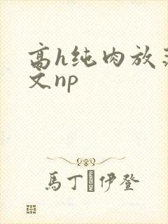 高h纯肉放荡h文np封面