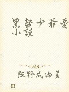 黑帮少爷爱上我小说