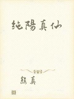 纯阳真仙