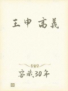 王申 高义