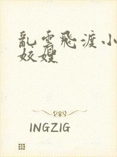 乱云飞渡小说之姣嫂
