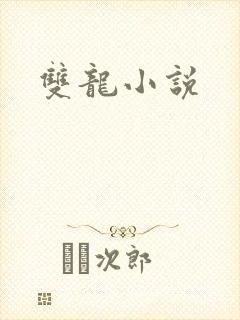 双龙小说