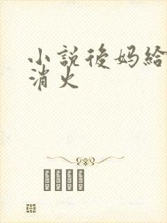 小说后妈给我消消火