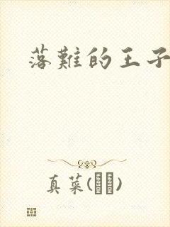 落难的王子封面