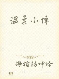 温柔小传