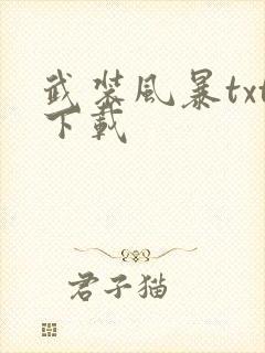 武装风暴txt下载封面