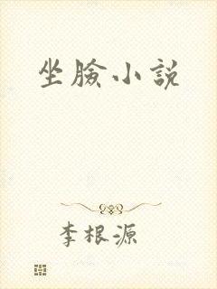 坐脸小说封面